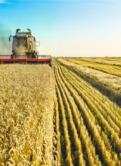 Agriculture